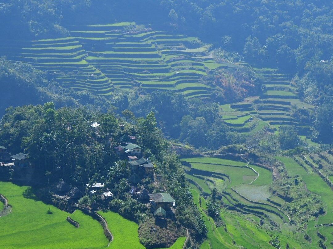 菲律宾水稻梯田-Banaue必去景点