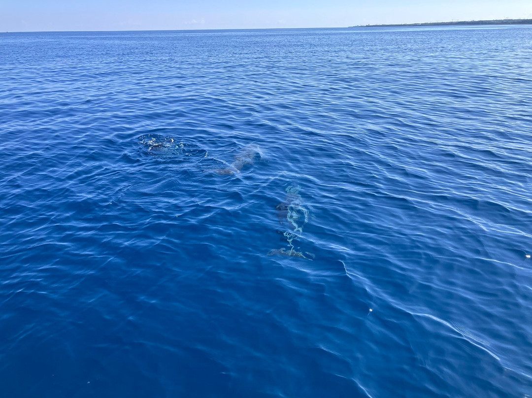 Bato Pei-圣吉尔莱班必去景点