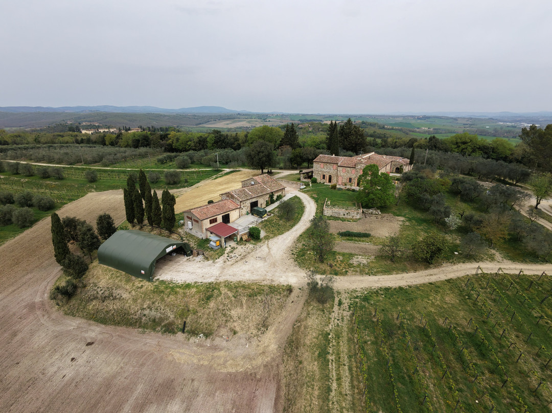 Casale Terzo-埃尔萨谷口村必去景点