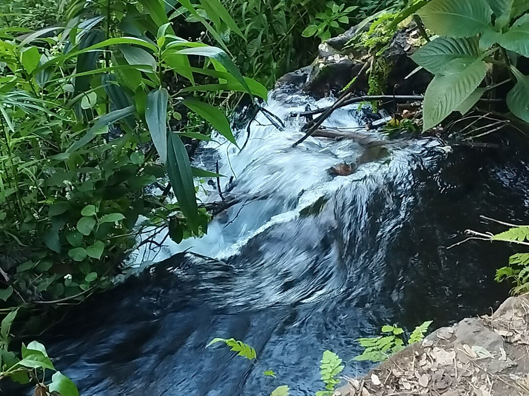 克里奥尔酒店主图