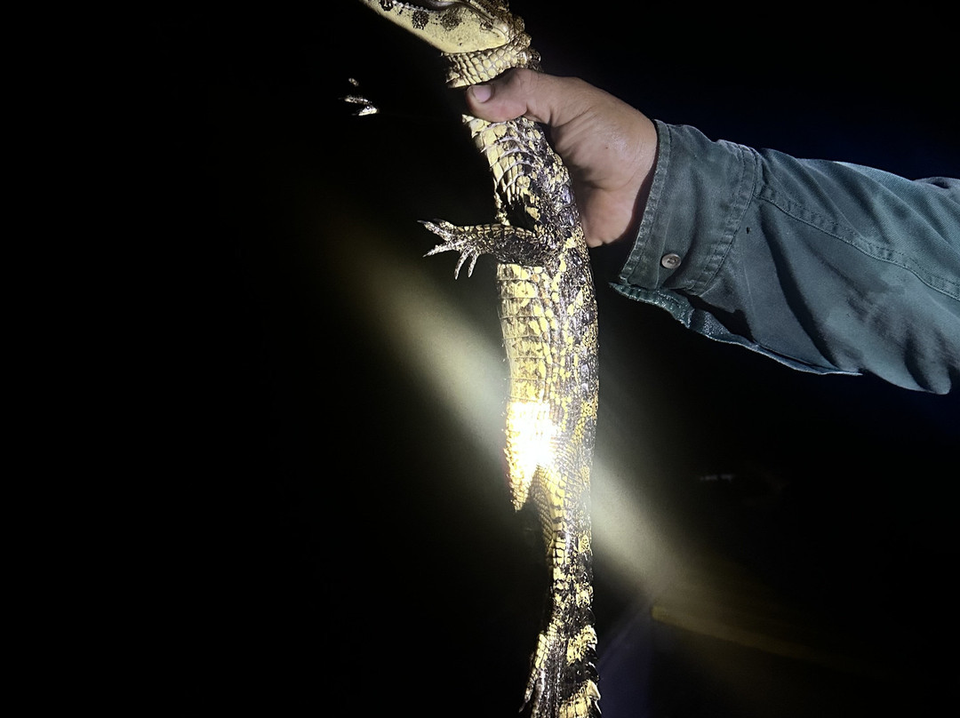 CHUCHINI Amazon Wildlife Reserve & Eco Lodge-Trinidad必去景点