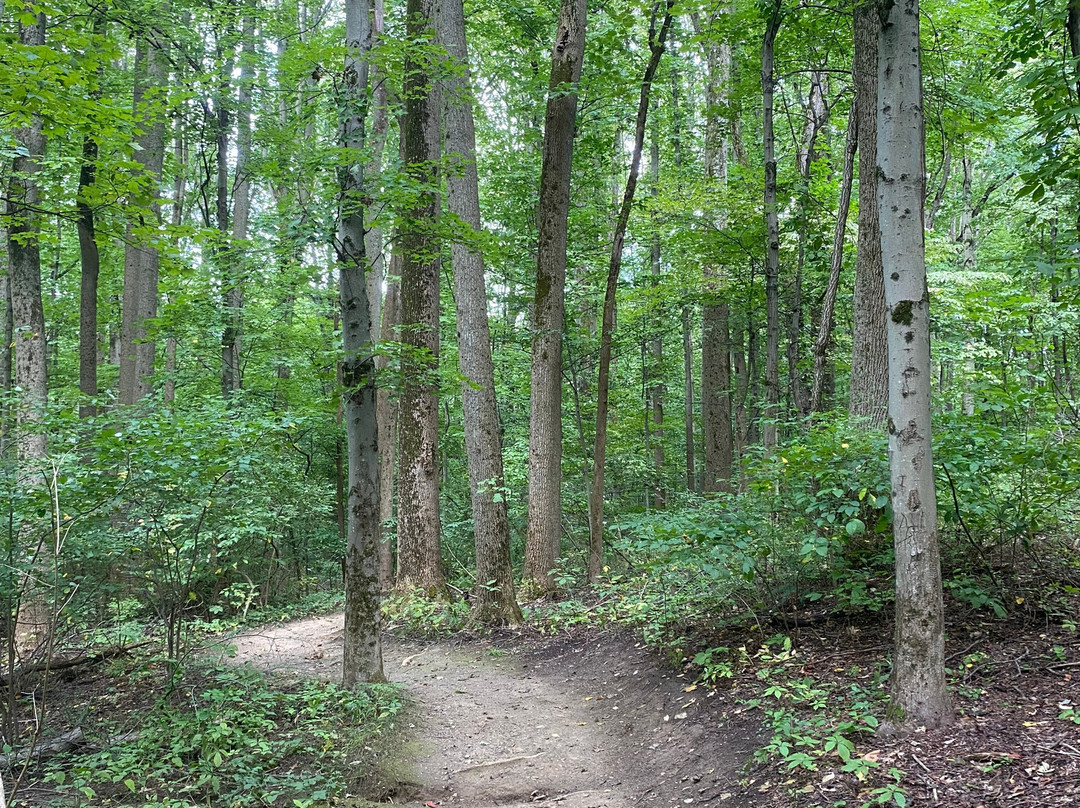 F.A. Seiberling Nature Realm-阿克伦必去景点