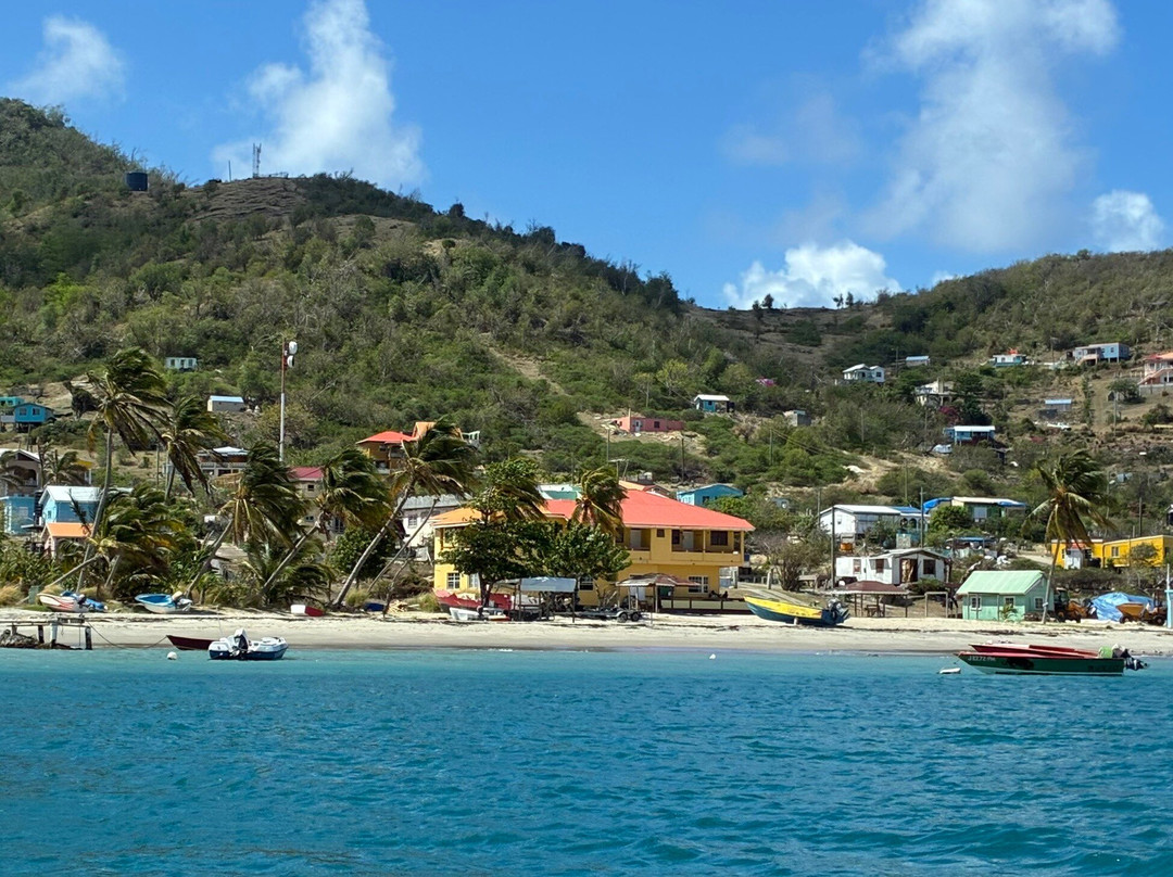 Froggy's Reef Tours and Snorkeling Carriacou-Carriacou Island必去景点