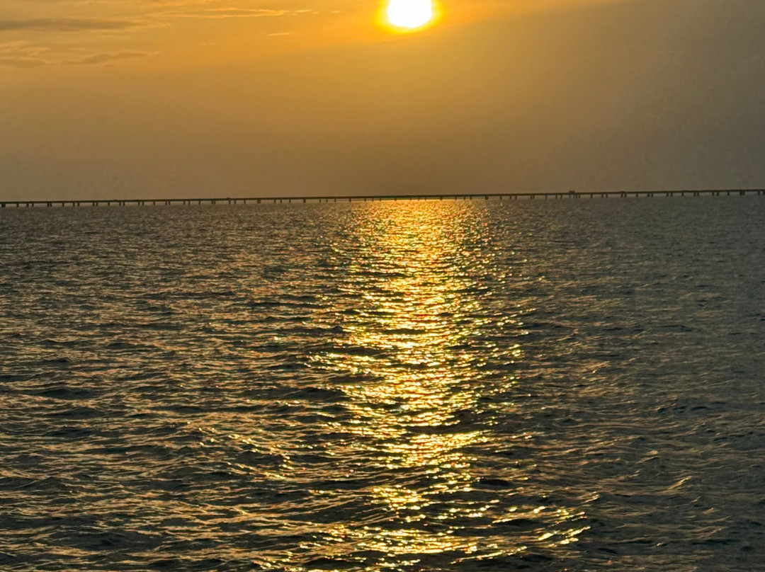 Delaune Sailing Charters-Mandeville必去景点