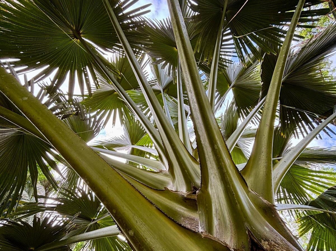 Bosque del Cabo Rain Forest Lodge主图
