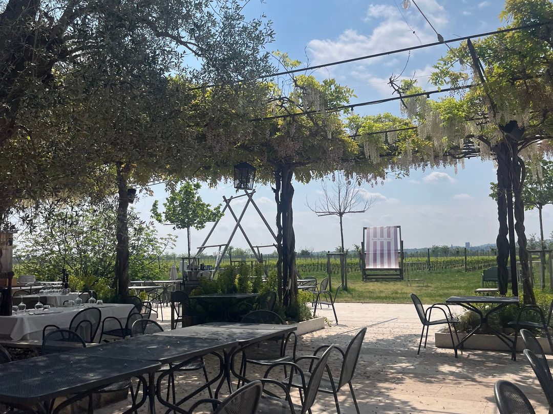 Cantina Buglioni-Corrubbio di Negarine必去景点