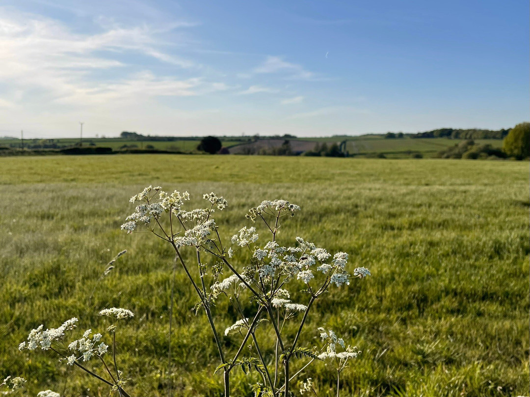 Knowlton Church and Earthworks-Cranborne必去景点