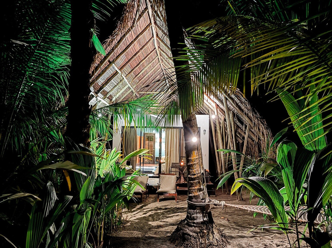 Isla Palenque Cayuga收藏成员主图