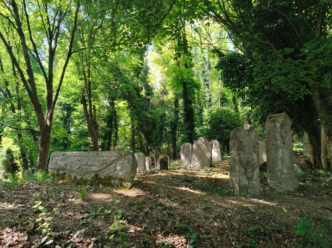 Antico Cimitero Ebraico di Conegliano-科内利亚诺必去景点