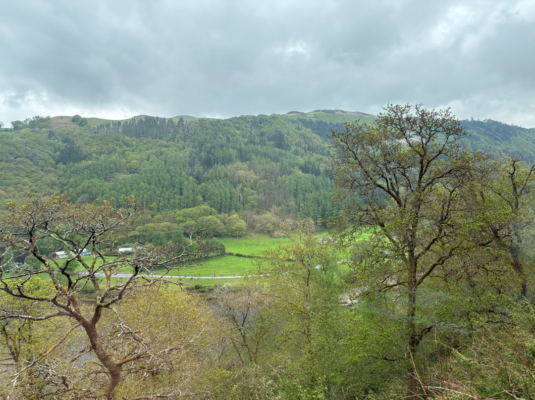 Vale of Rheidol Railway-阿伯里斯特威斯必去景点