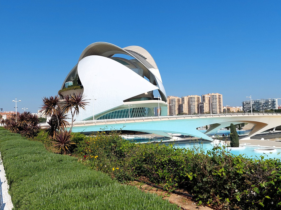 Palacio de las Artes Reina Sofía-巴伦西亚必去景点