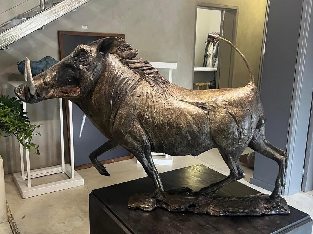 Warren Cary Wildlife Gallery