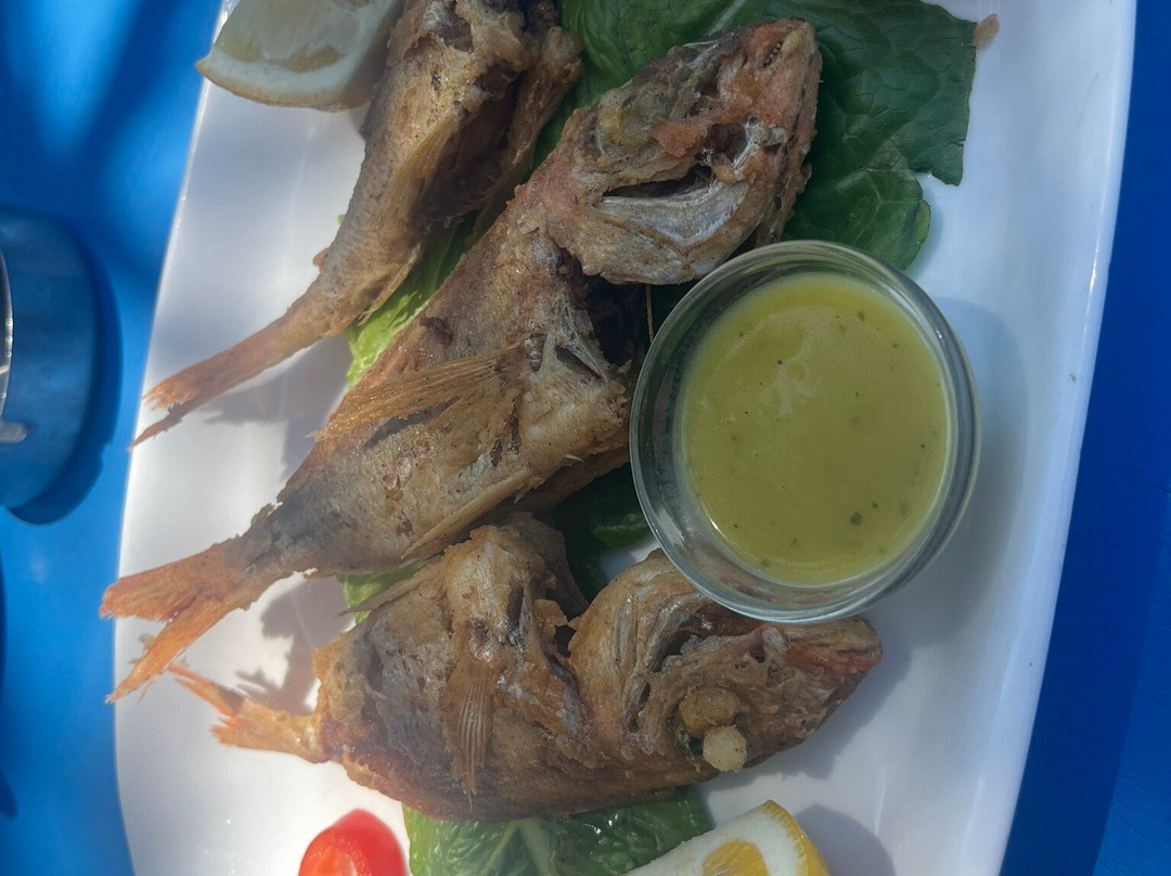 Rethymno Fishing Trip The Lucky Hook-雷斯蒙必去景点