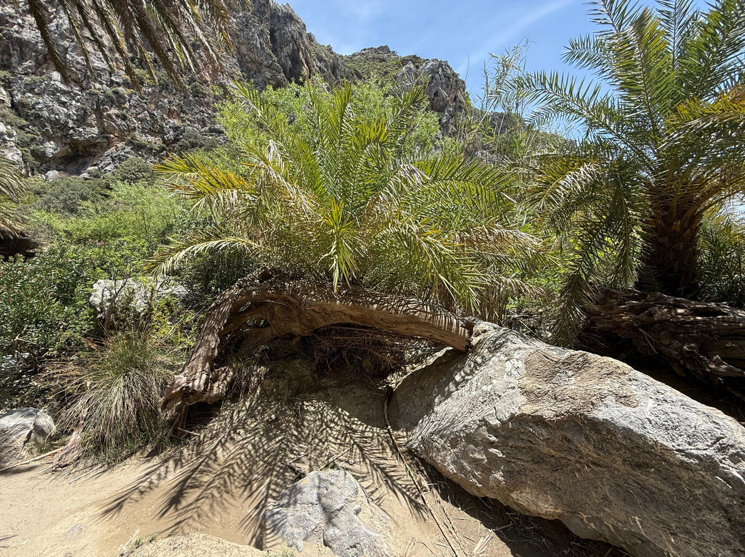 Preveli Beach-Agios Vasileios Municipality必去景点