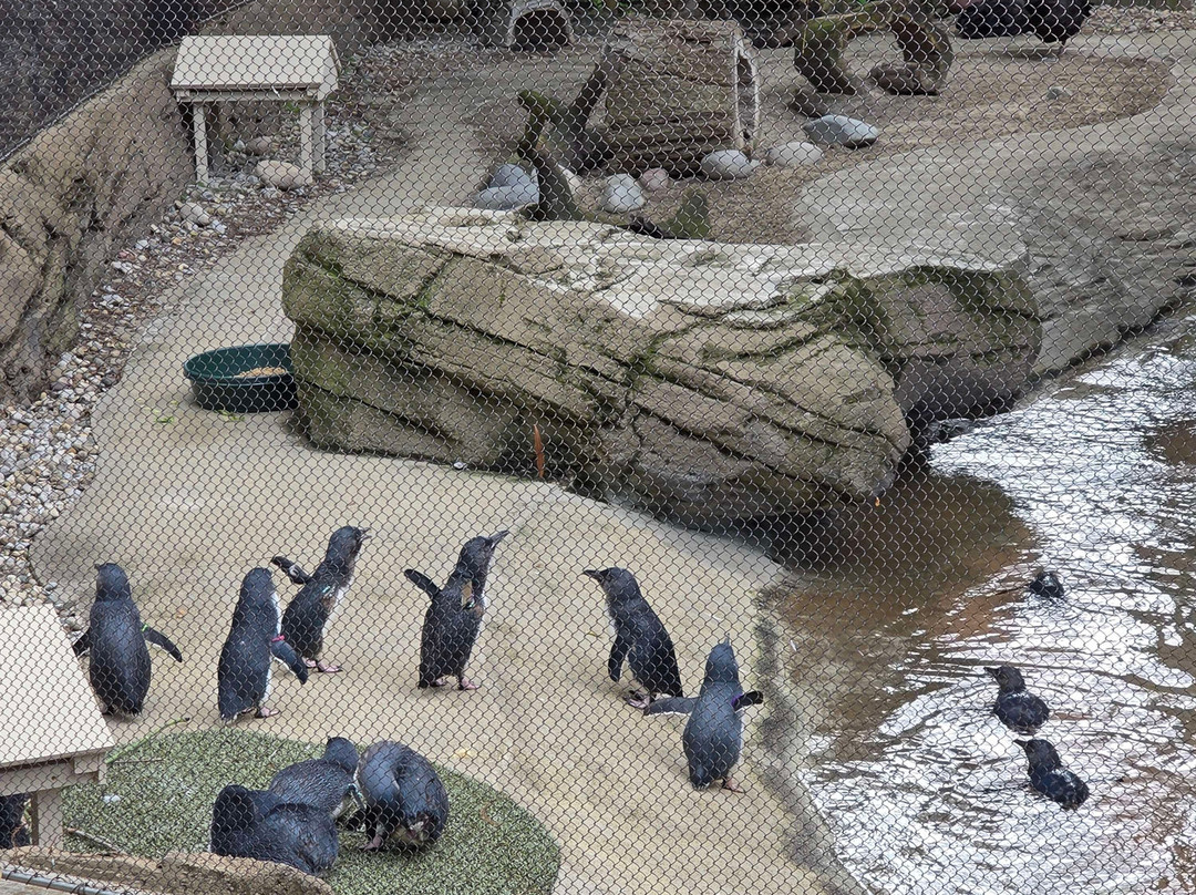 Louisville Zoo-路易斯维尔必去景点