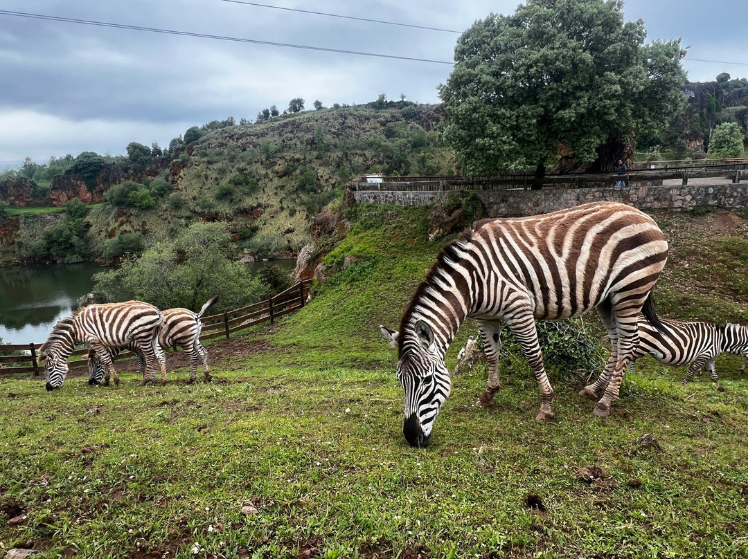 Parque de la Naturaleza de Cabarceno-Obregon必去景点
