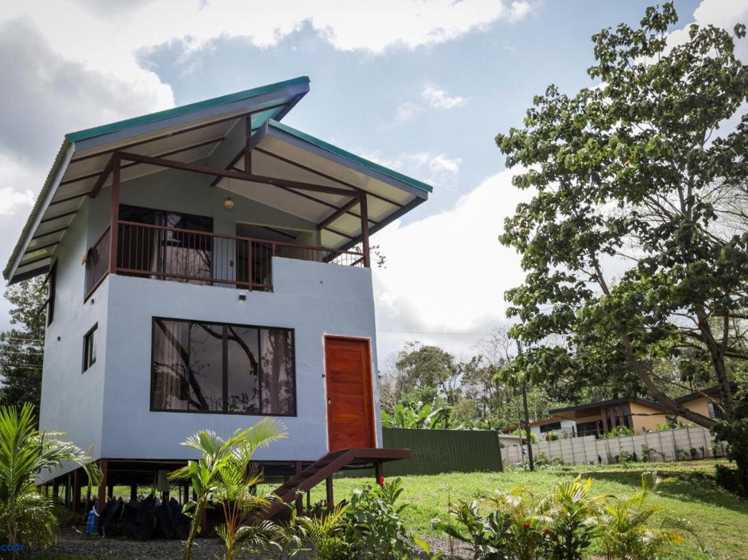 Divan Jungle Lodge