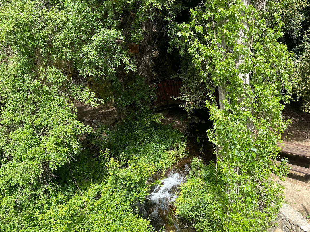 Antoniades Winery-Mandria必去景点