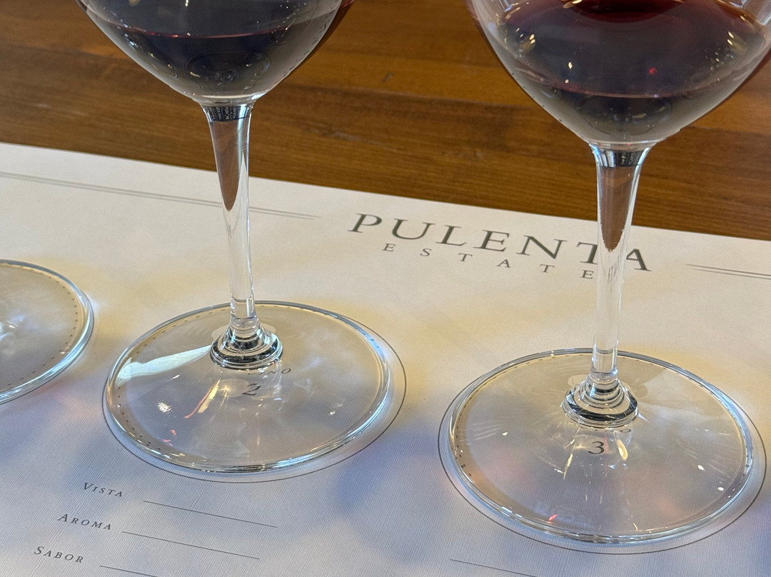 Pulenta Estate Winery-阿格雷洛必去景点