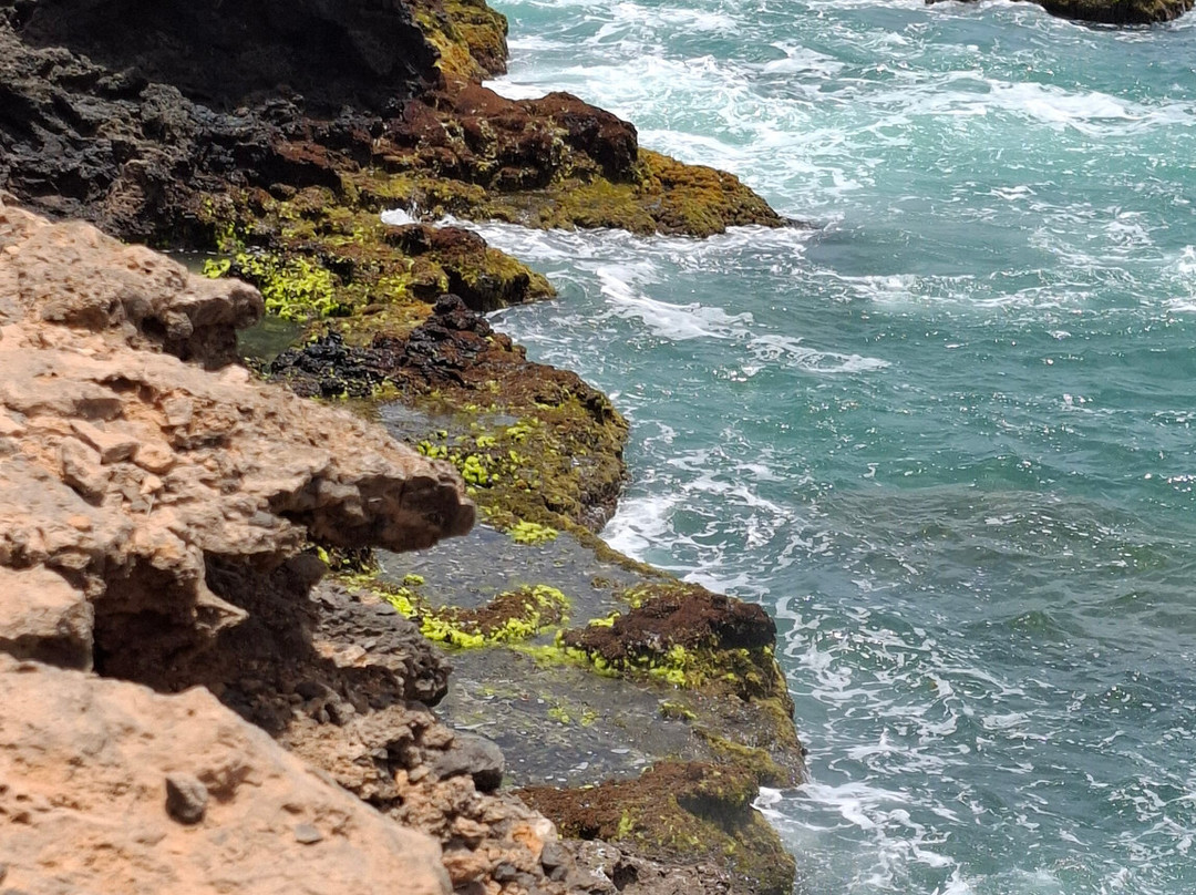 Pier Boa Vista Tours-博阿维斯塔必去景点