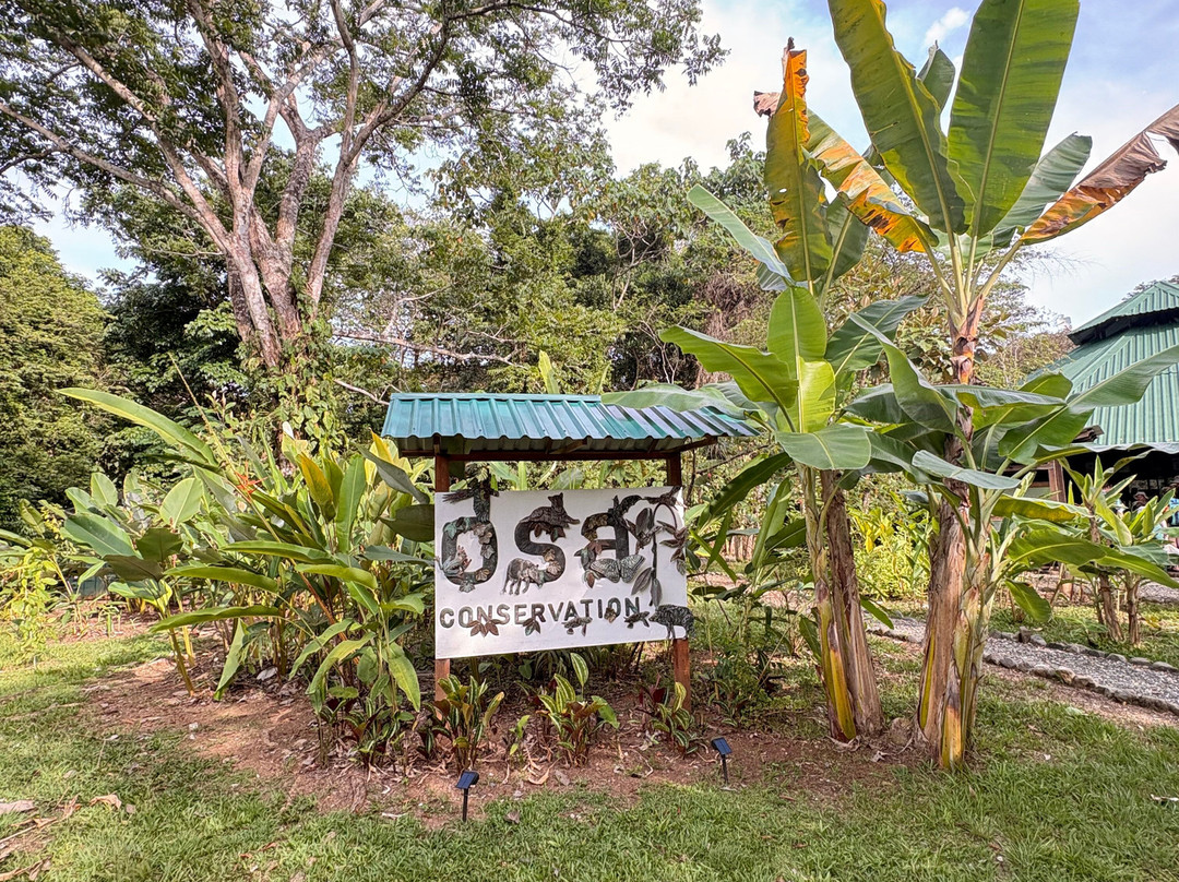 Osa Conservation Campus-希门尼斯港必去景点