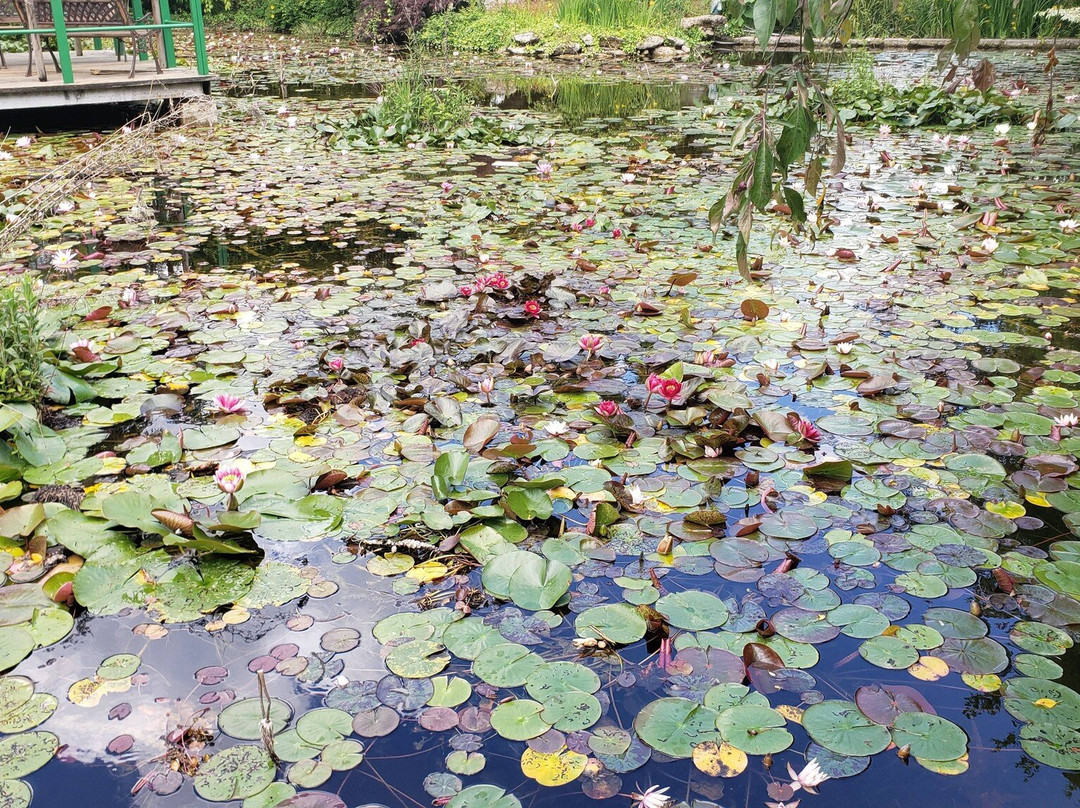 Jardins de Beauchamp-Marmande必去景点