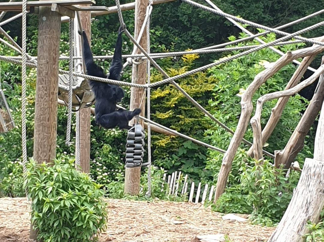 Zoo de Lille-里尔必去景点