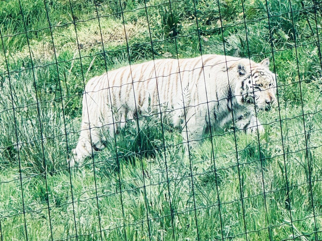 Parc Zoologique Cerza-Hermival-les-Vaux必去景点