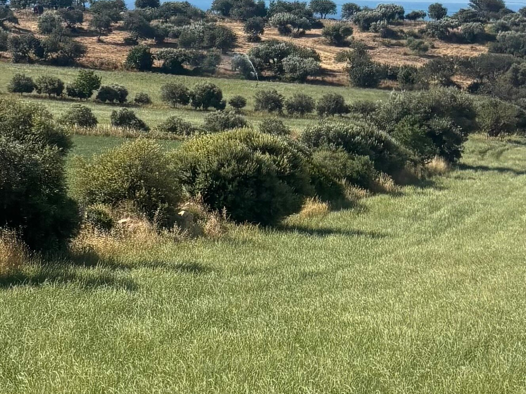 Sicily Bike Routes-希克利必去景点