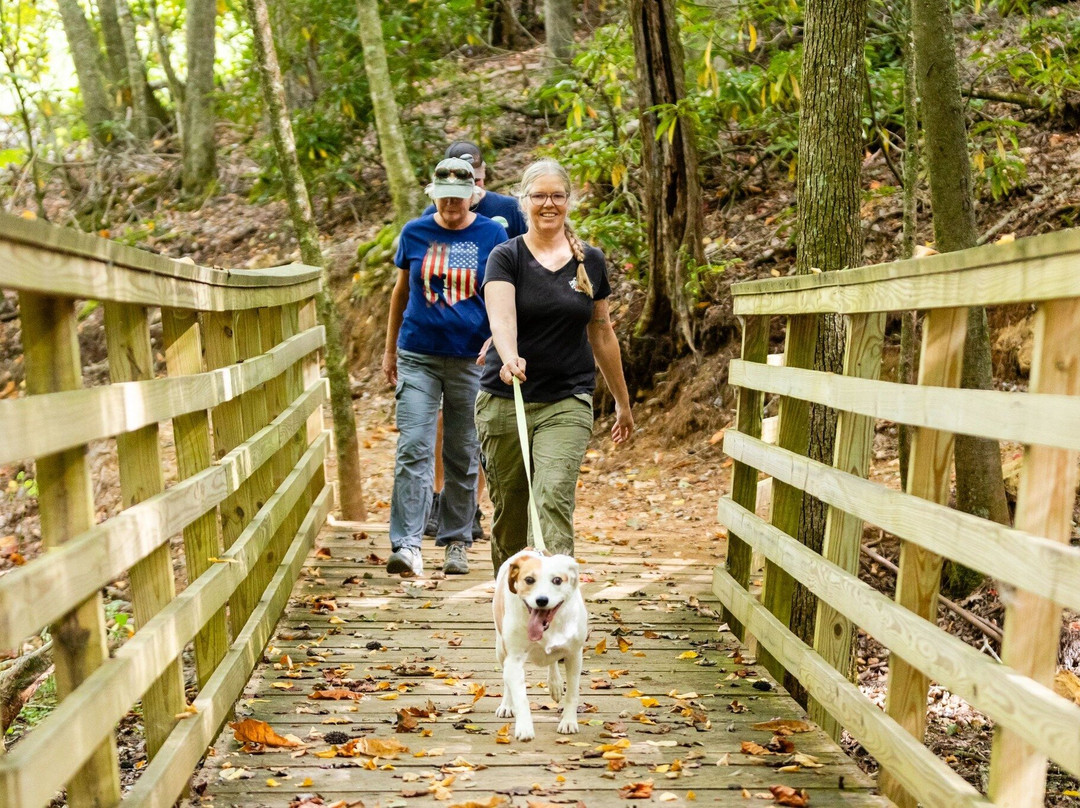 Doe Mountain Recreation Area-Mountain City必去景点
