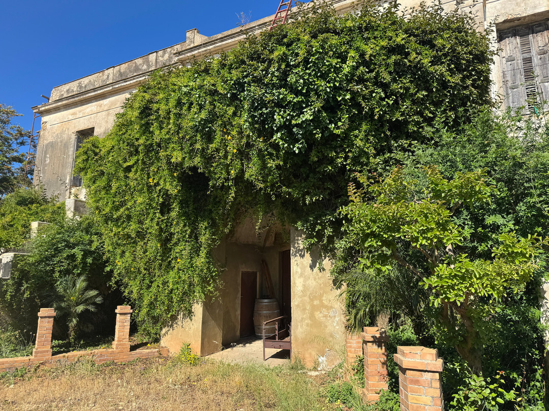 Mercouri Estate-Pyrgos必去景点
