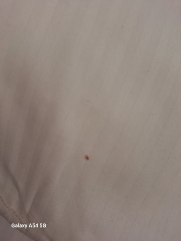 欣歌尼亚皇宫酒店-旅行者
