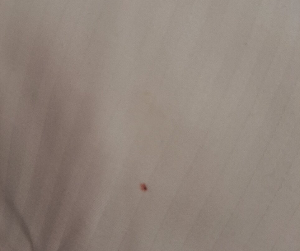 欣歌尼亚皇宫酒店主图