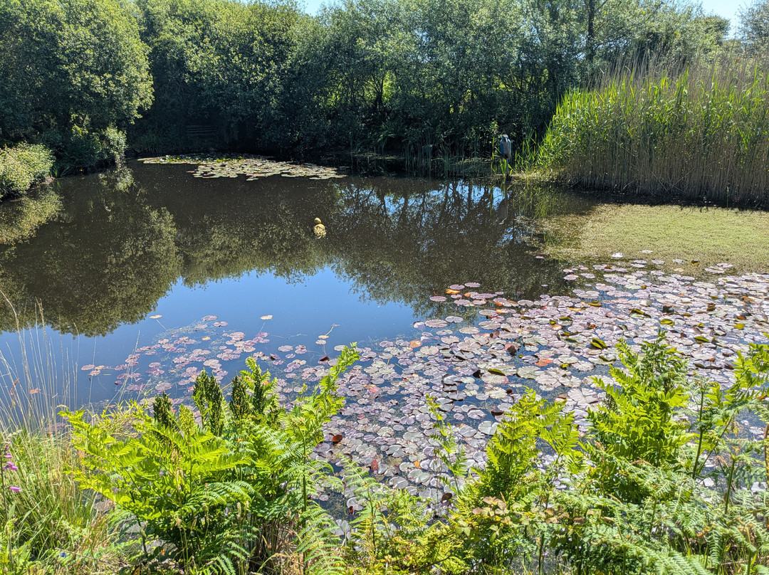 Tanglewood Wild Garden-彭赞斯必去景点