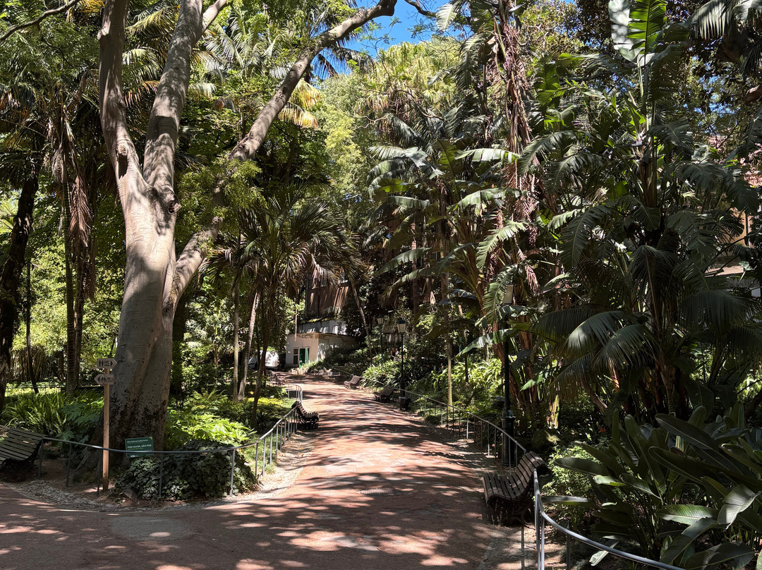 Jardim Da Estrela Park-里斯本必去景点