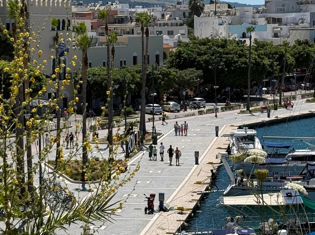 Kos Town Castle-Kos Town必去景点