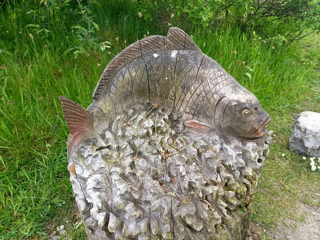 Parc Bryn Bach-Tredegar必去景点