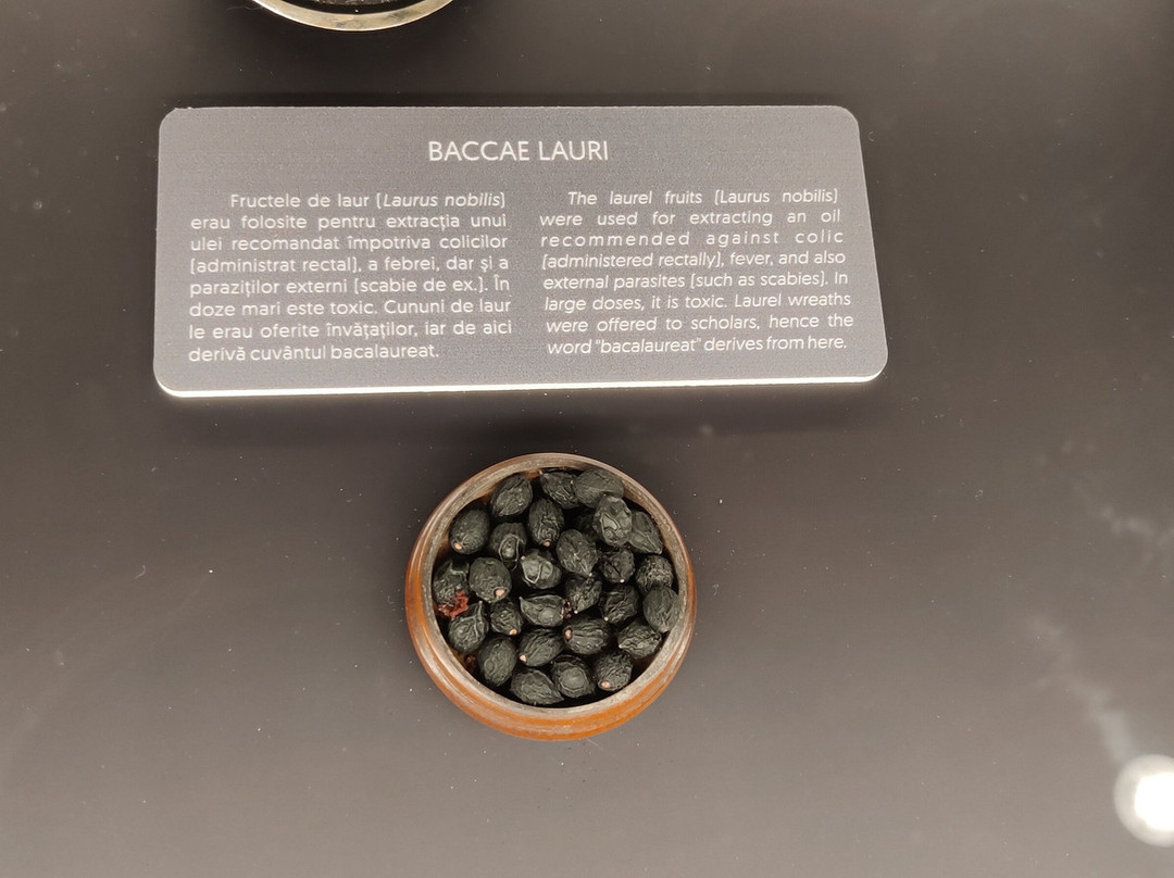 The Pharmacy Museum Cluj  - Mnit-克卢日-纳波卡必去景点