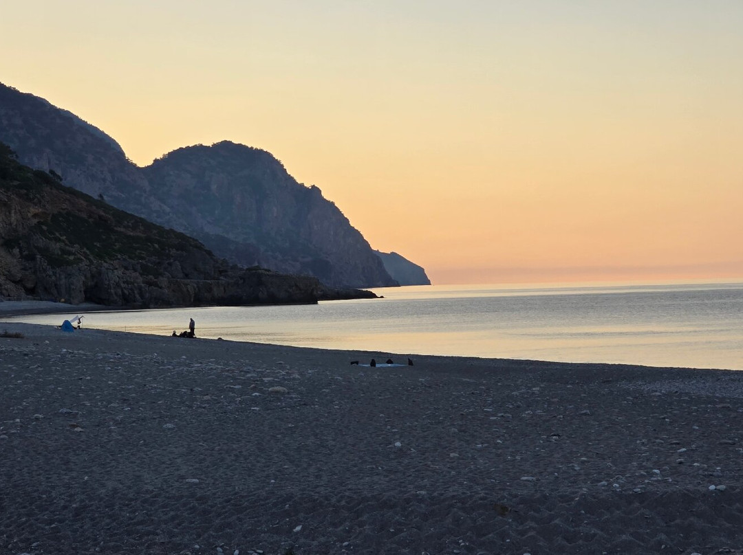 Sougia Beach-Sougia必去景点