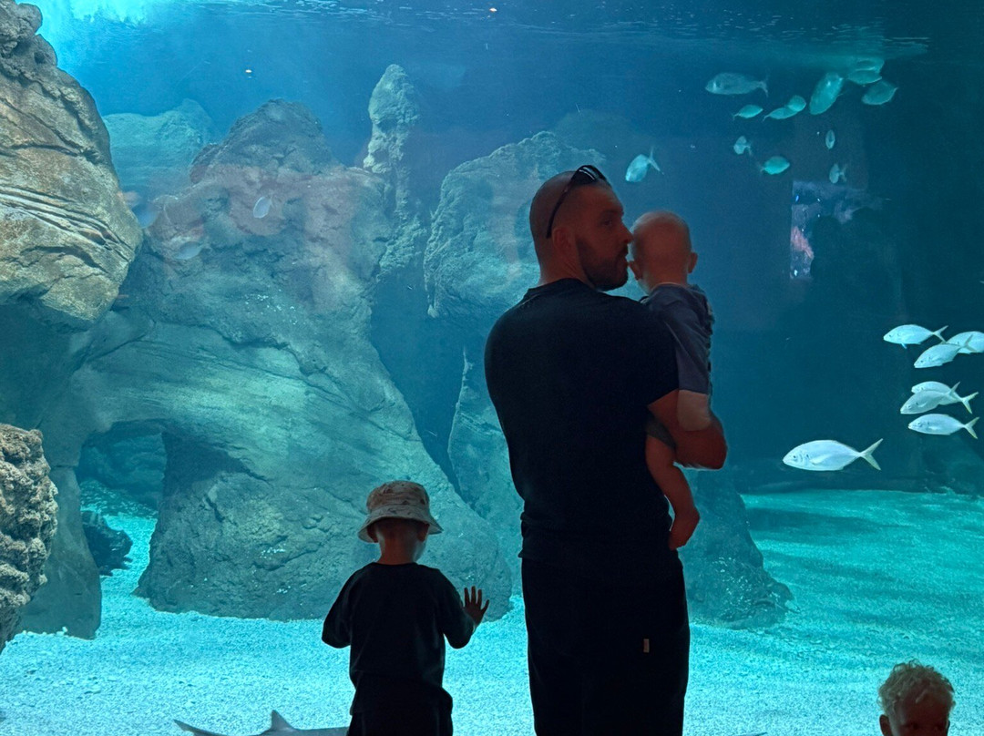Lanzarote Aquarium-科斯塔特吉塞必去景点
