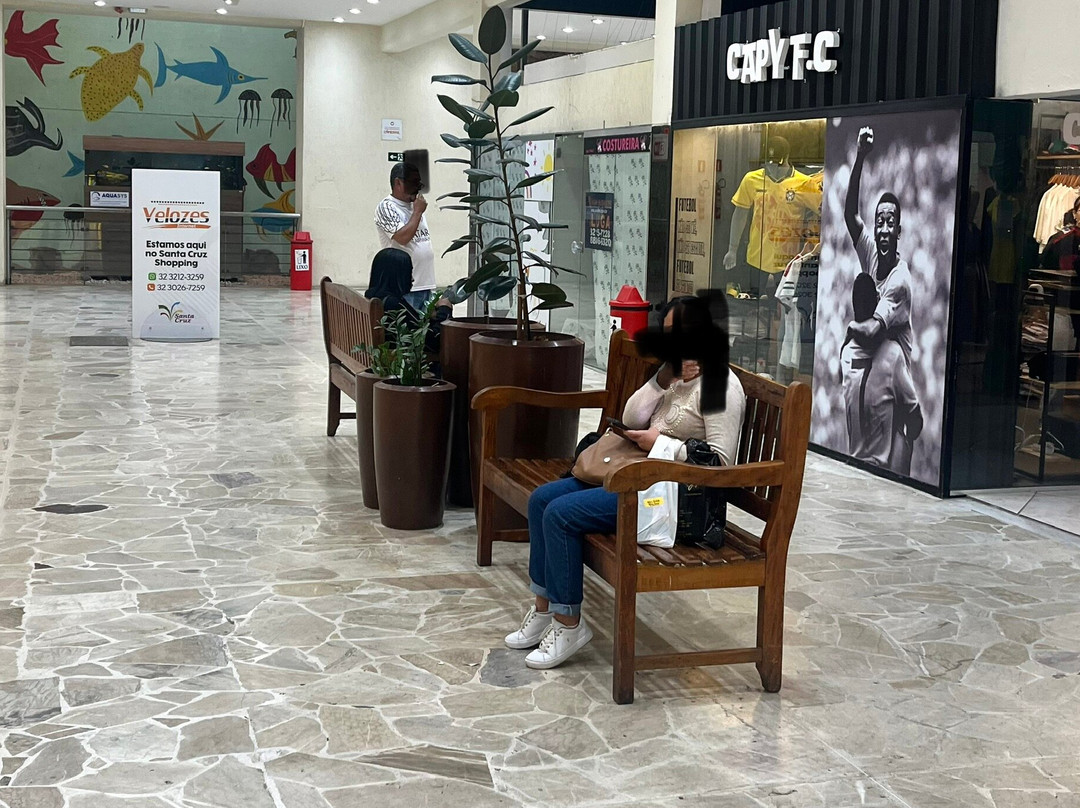 Santa Cruz Shopping-Juiz de Fora必去景点