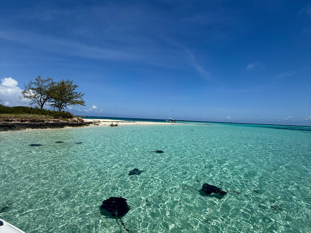 Bimini Blue Adventures-Bailey Town必去景点