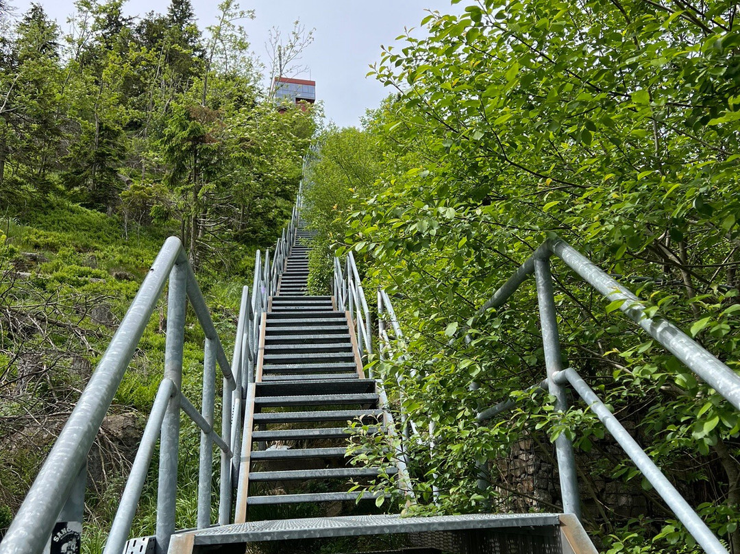 Wurmbergseilbahn Braunlage-布劳恩拉格必去景点