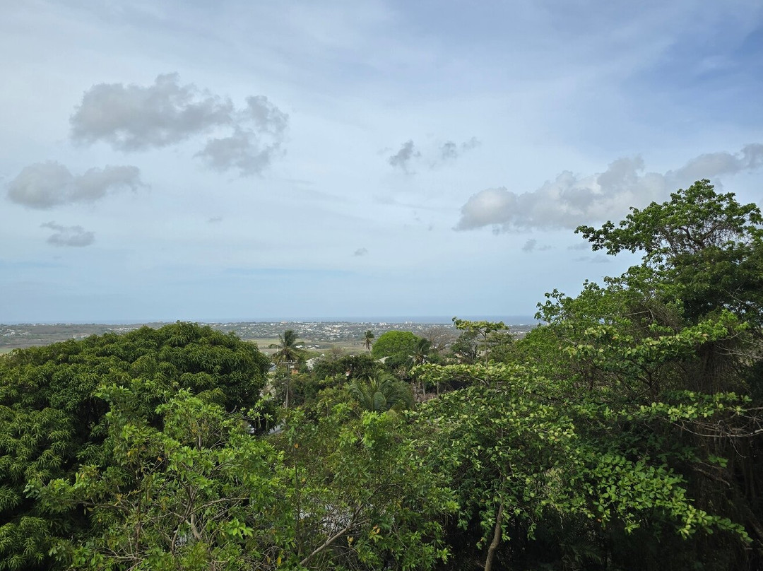 Island Safari Barbados-Saint Michael Parish必去景点