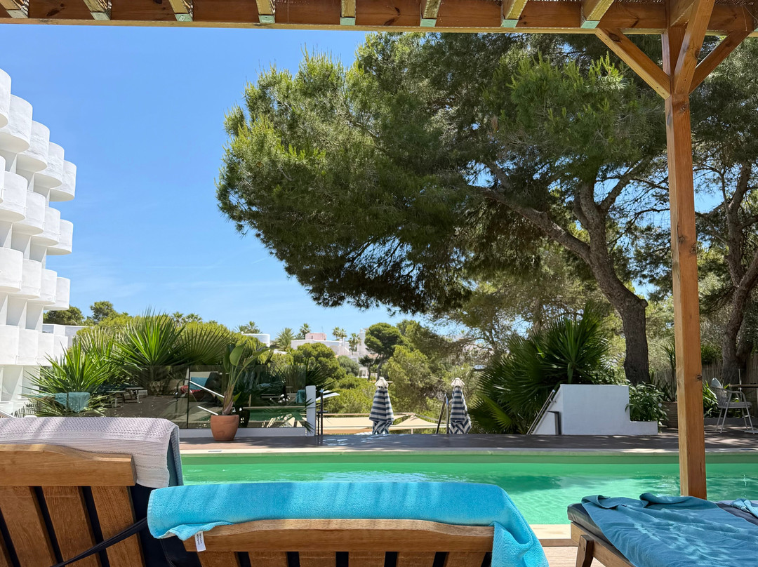 AluaSoul Mallorca Resort - Adults Only主图