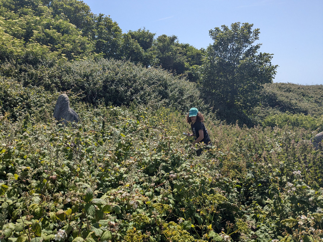 Tout Quarry Sculpture Park and Nature Reserve-Isle of Portland必去景点