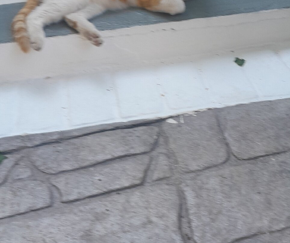 尼斯卡美酒店主图