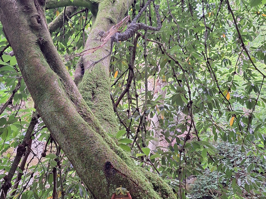 Canonteign Falls-Christow必去景点