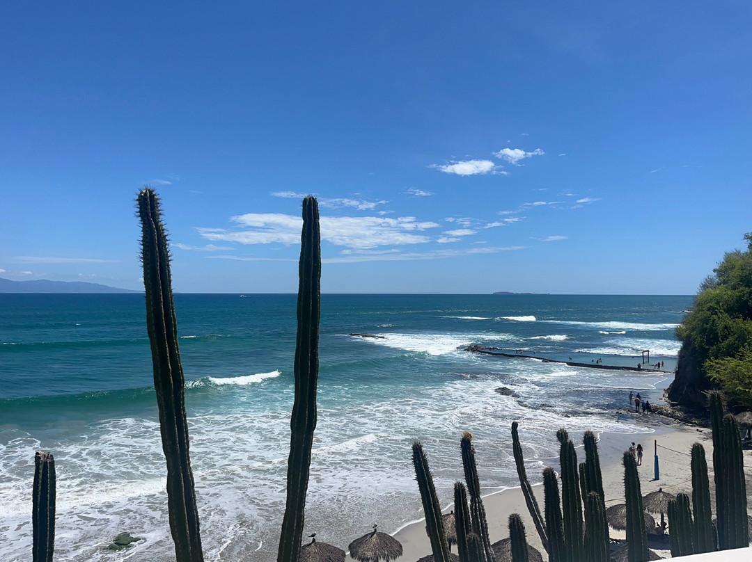 Grand Palladium Vallarta Resort & Spa主图