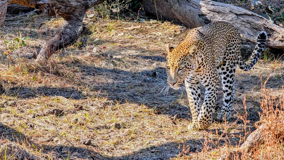 Msandile River Lodge-旅行者